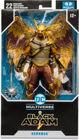 DC - DC Multiverse Black Adam Movie - Hawkman
