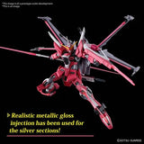Bandai - Mobile Suit Gundam Seed - Freedom Infinite Justice Gundam Type II High Grade 1:144 Scale Model Kit