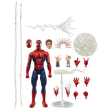 Marvel Legends - Maximum Series - Spider-Man