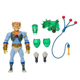 Masters Of The Universe - Origins - Thundercats Tygra