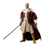 Star Wars - Black Series - 50th Anniversary - Mace Windu Clone Wars Animated